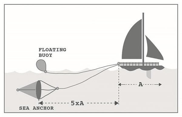 Triivankur Squiddy L 1070x1100mm >10m