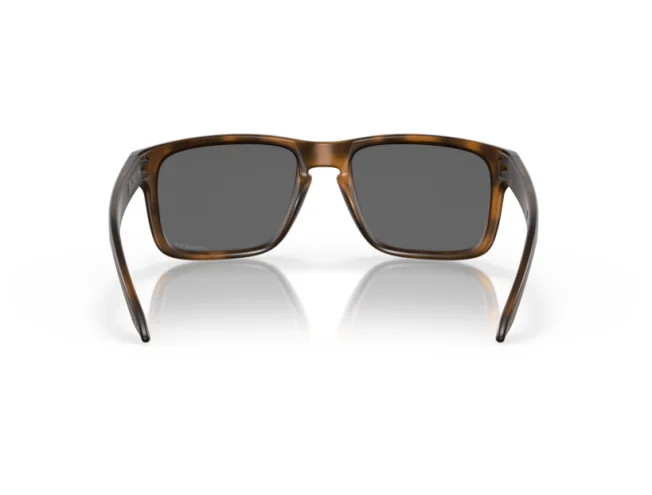 P&auml;ikeseprillid OAKLEY Holbrook Matte Brown Tortoise Prizm Black