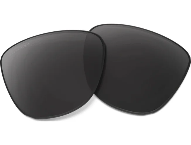 Prilliklaasid OAKLEY Frogskins Prizm Black Polarized
