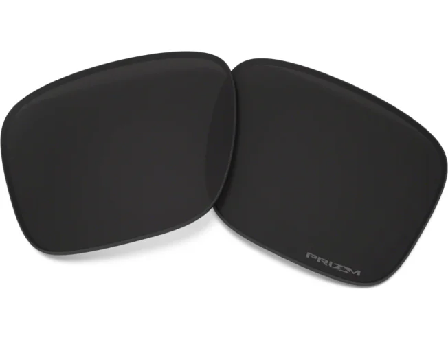 Prilliklaasid OAKLEY Holbrook Prizm Black Polarized