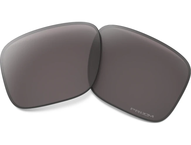 Prilliklaasid OAKLEY Holbrook Prizm Gray