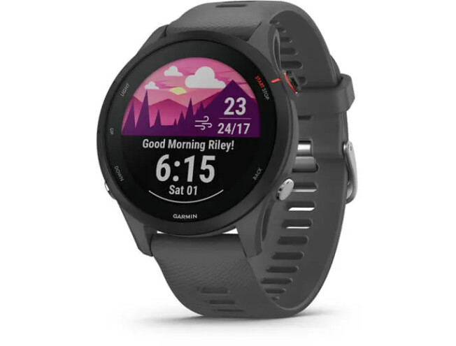 Spordikell Garmin Forerunner 255 Grey