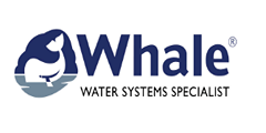 Whale